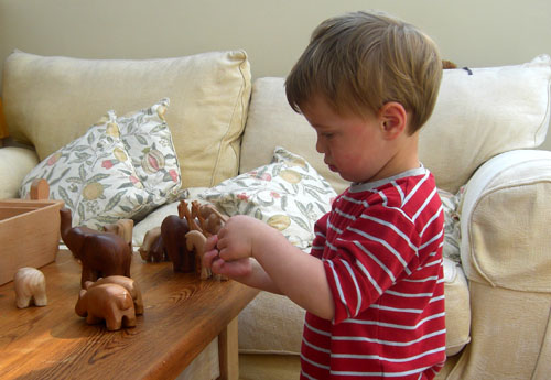 Boy playing with wooden toy animals